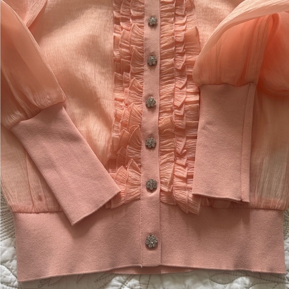 ZARA Sheer Blush Blouse | Crystal Flower Buttons Knit Waist /Romantic - Picture 3 of 10